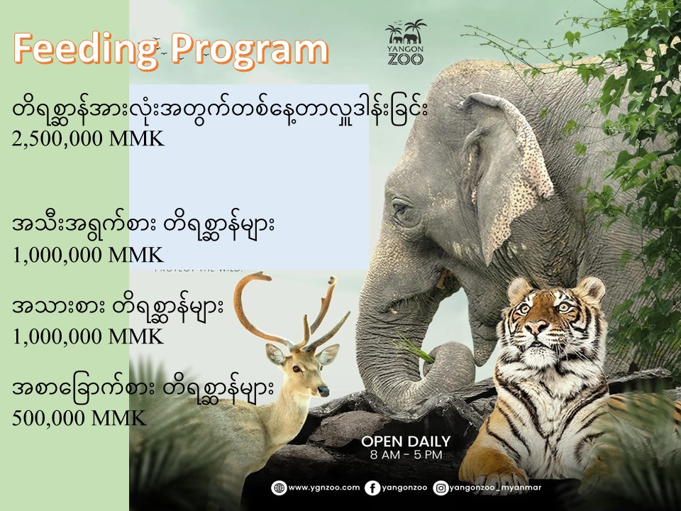 Animal Adoption Program,