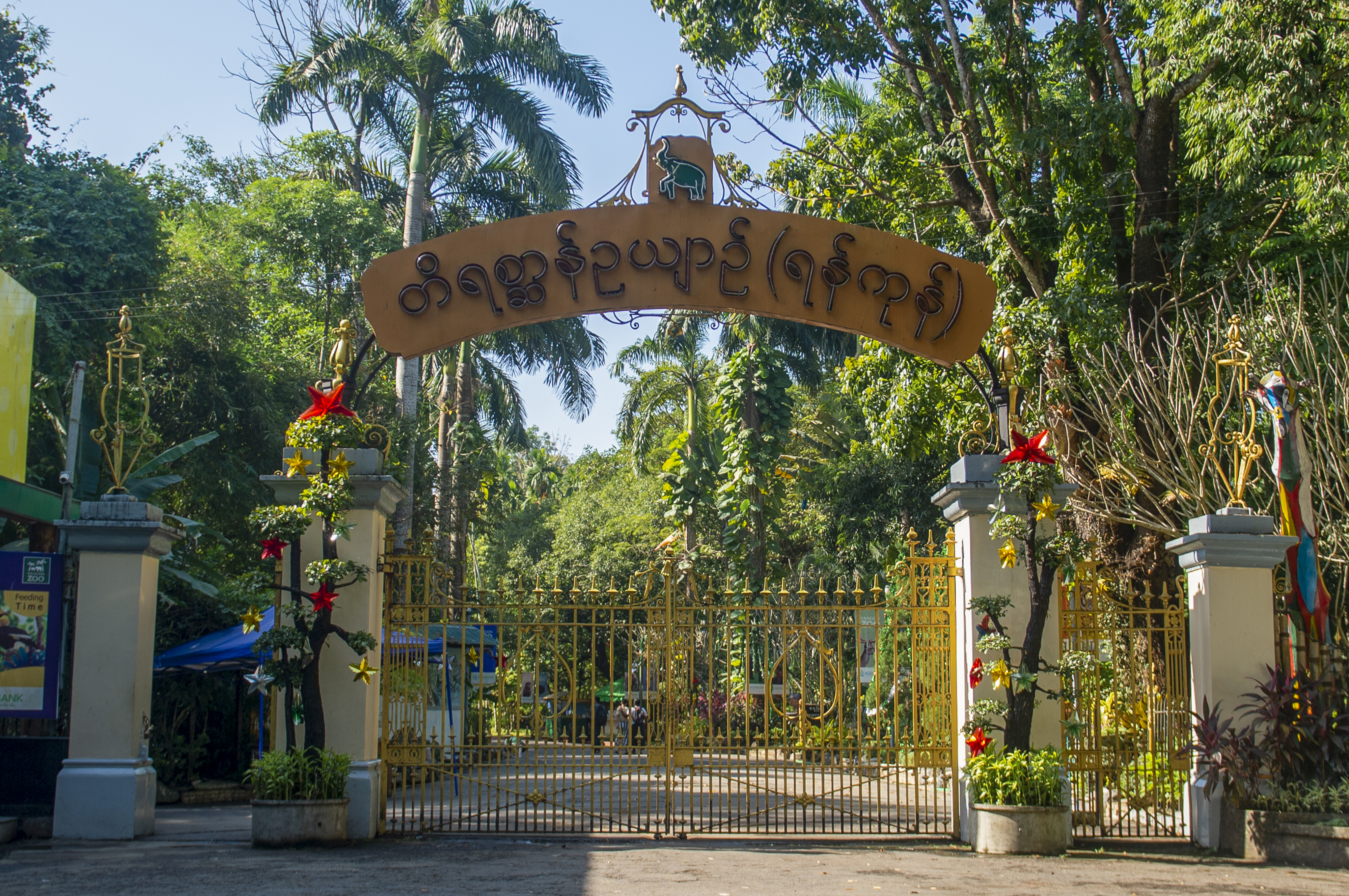 Welcome to Yangon Zoo